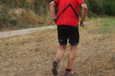 29054441632_26dd20f7ab_k