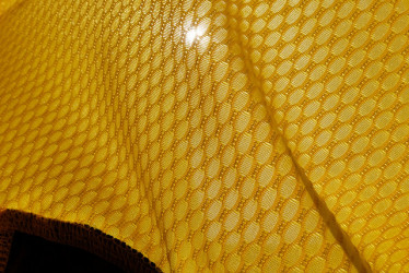 29592616801_384e4d9711_z