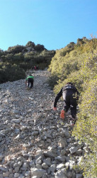 Escola_Trail_Running_Berga_5