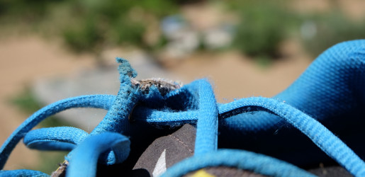 28558604630_1549b7f0a3_k