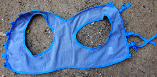 28763195892_bfecbba1d7_k