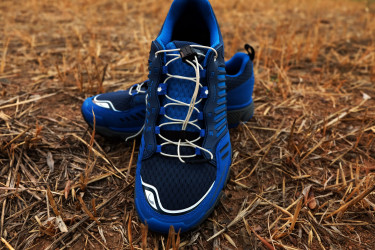 29416972713_4c220eff7d_k