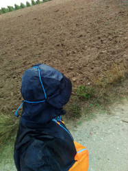 29987202023_1657404a11_z