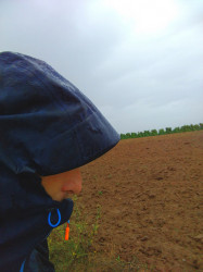 30321118310_826ac13668_z