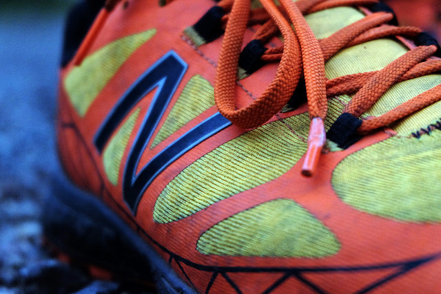 31600743201_0f058f0098_z