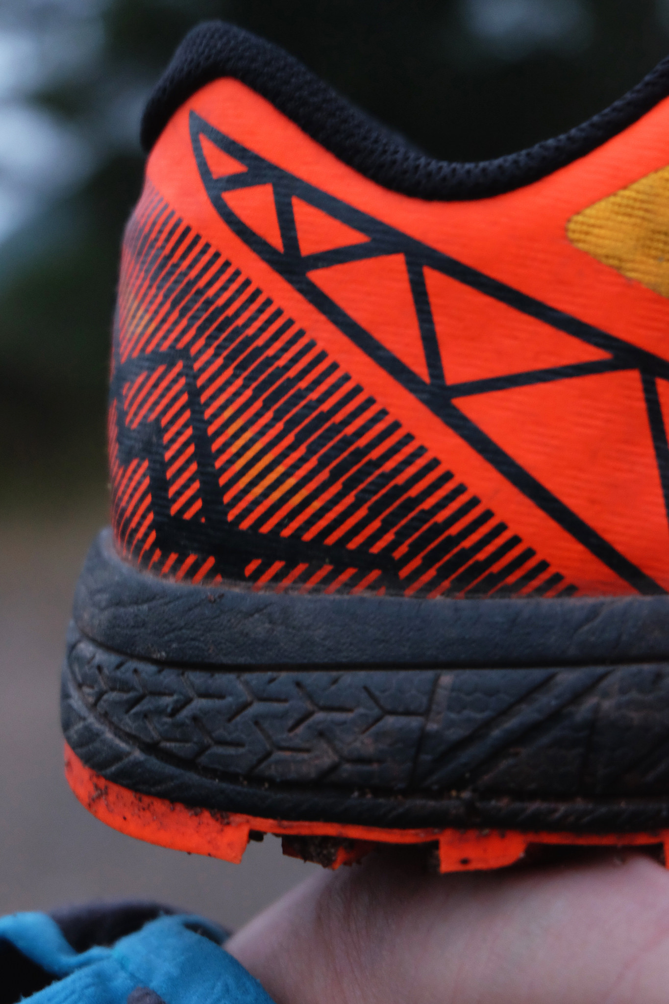 31679006926_deb48d6ecb_k