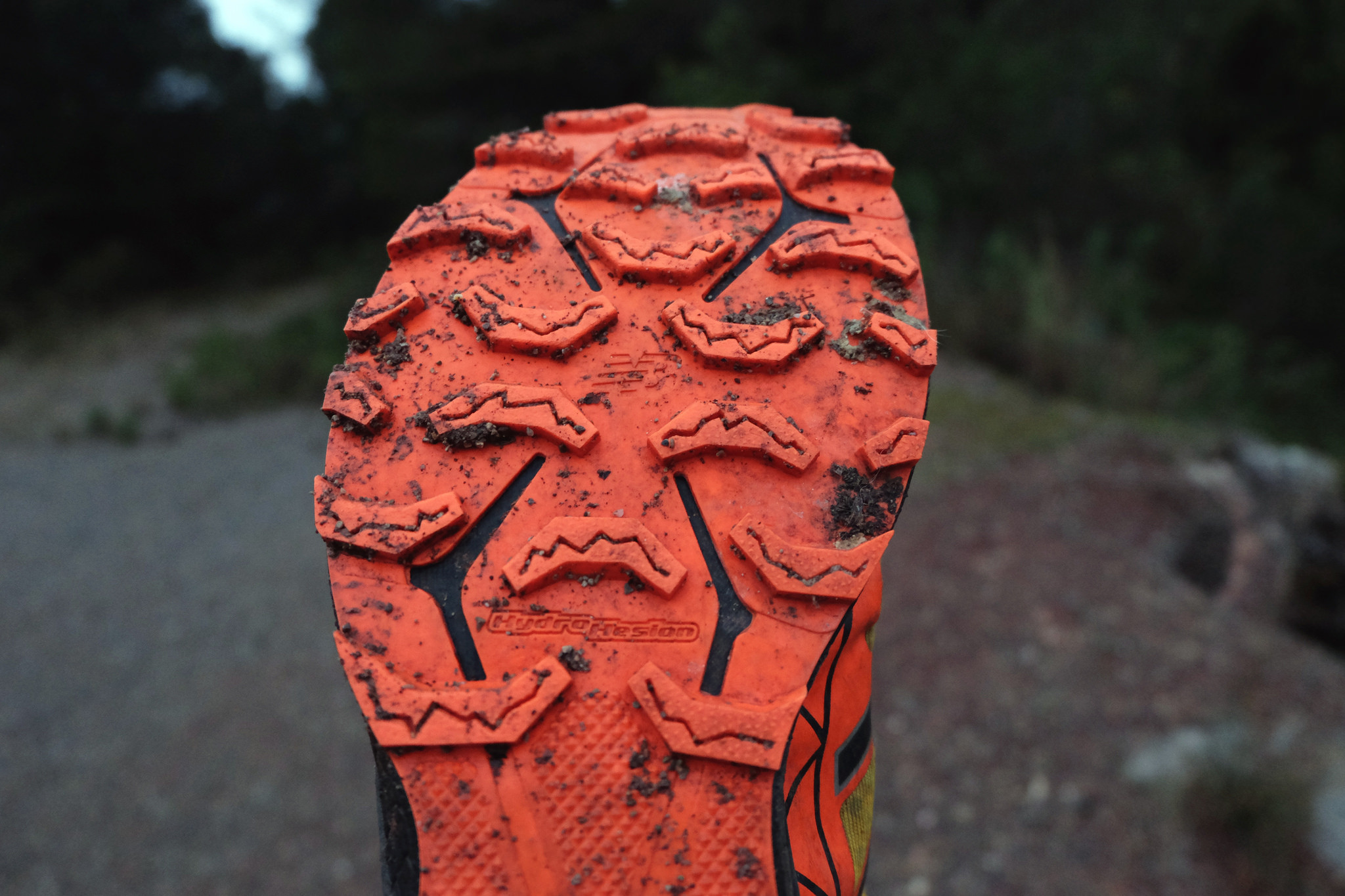 31716317375_5db73f2436_k