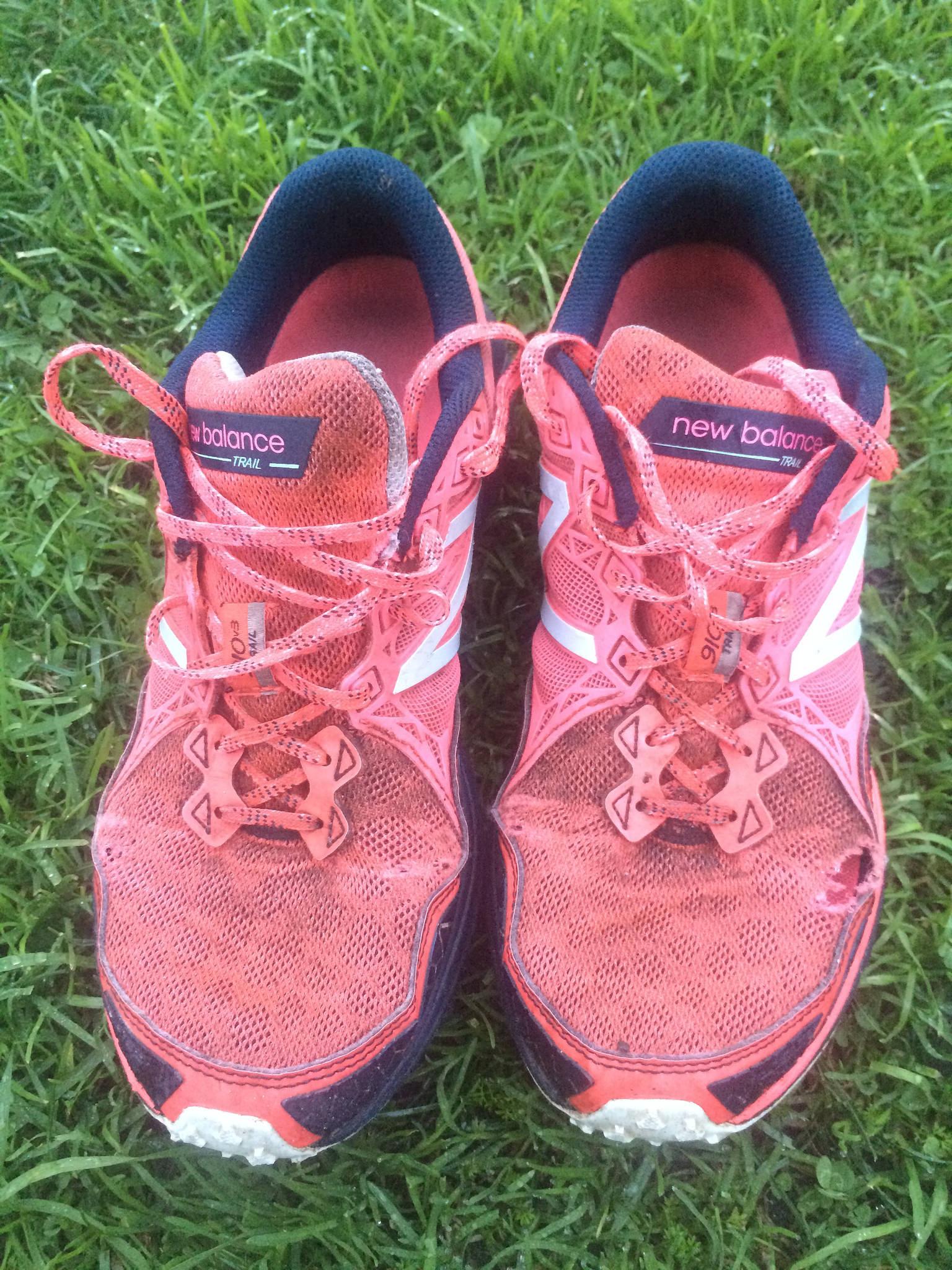 31387513410_b2e4039b53_k