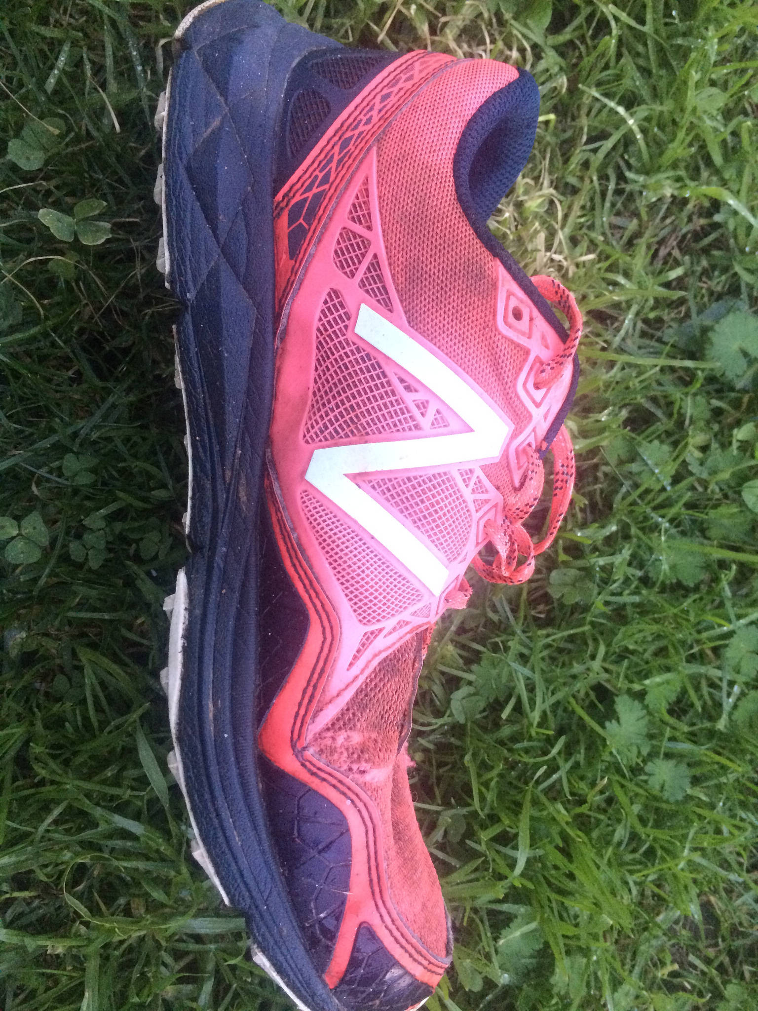 31387514070_fe9478cc36_k