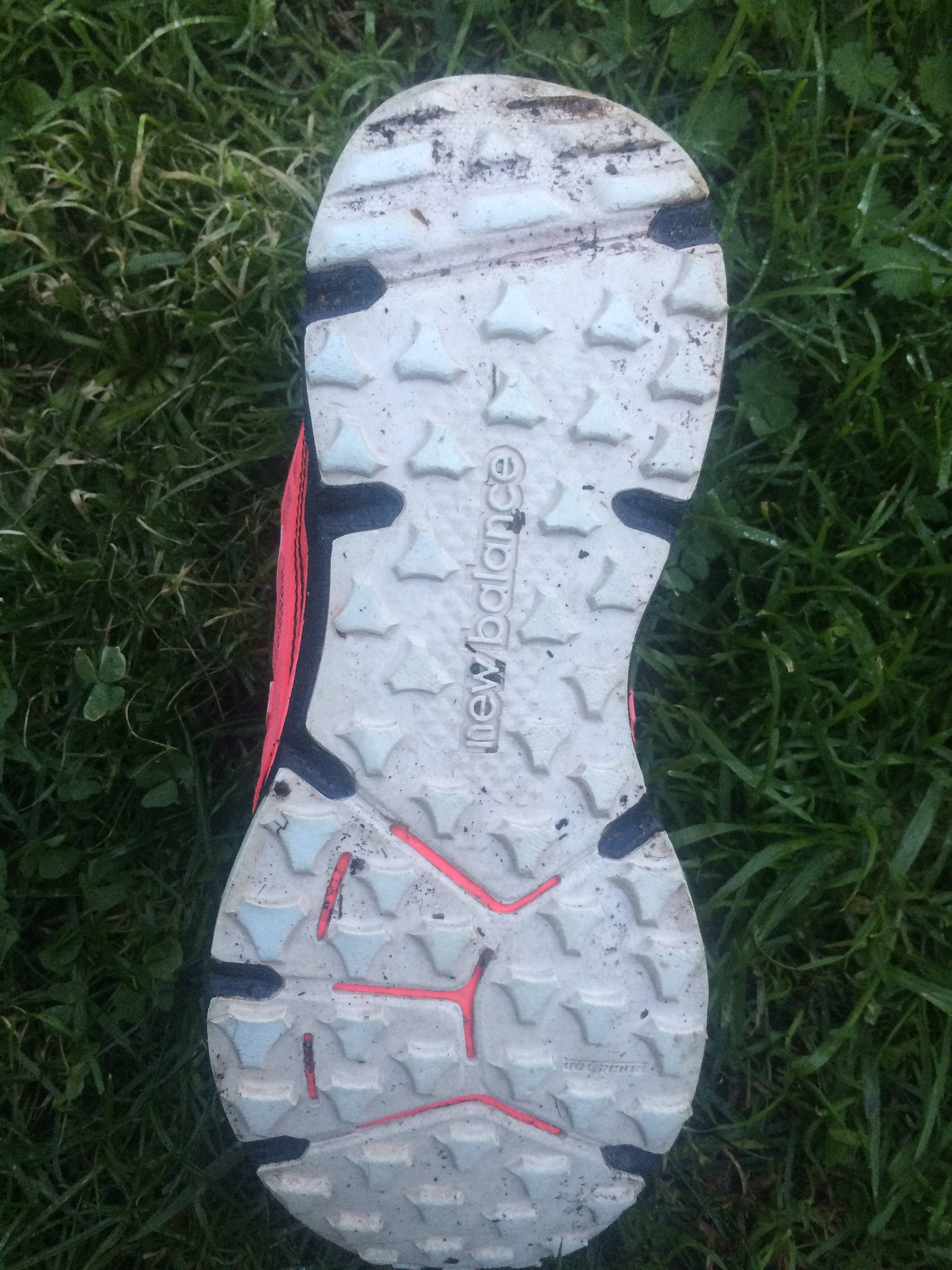 31387514680_4320600789_k