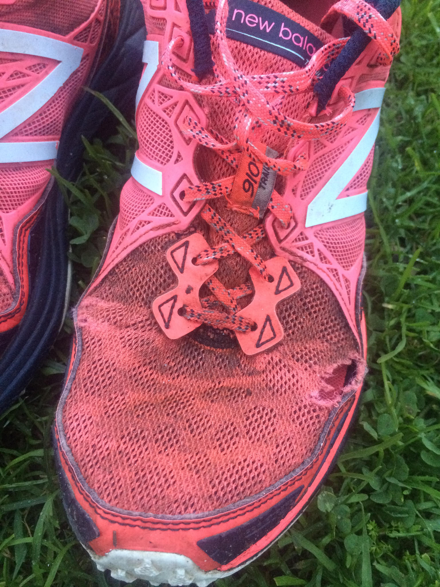 31387514970_f25d777700_k