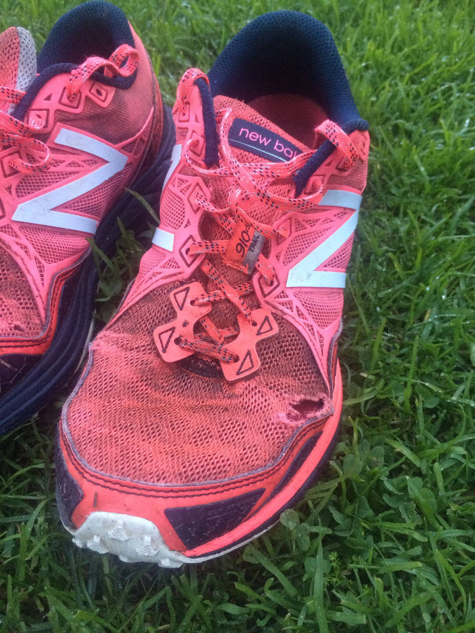 31387515450_b907becb25_k