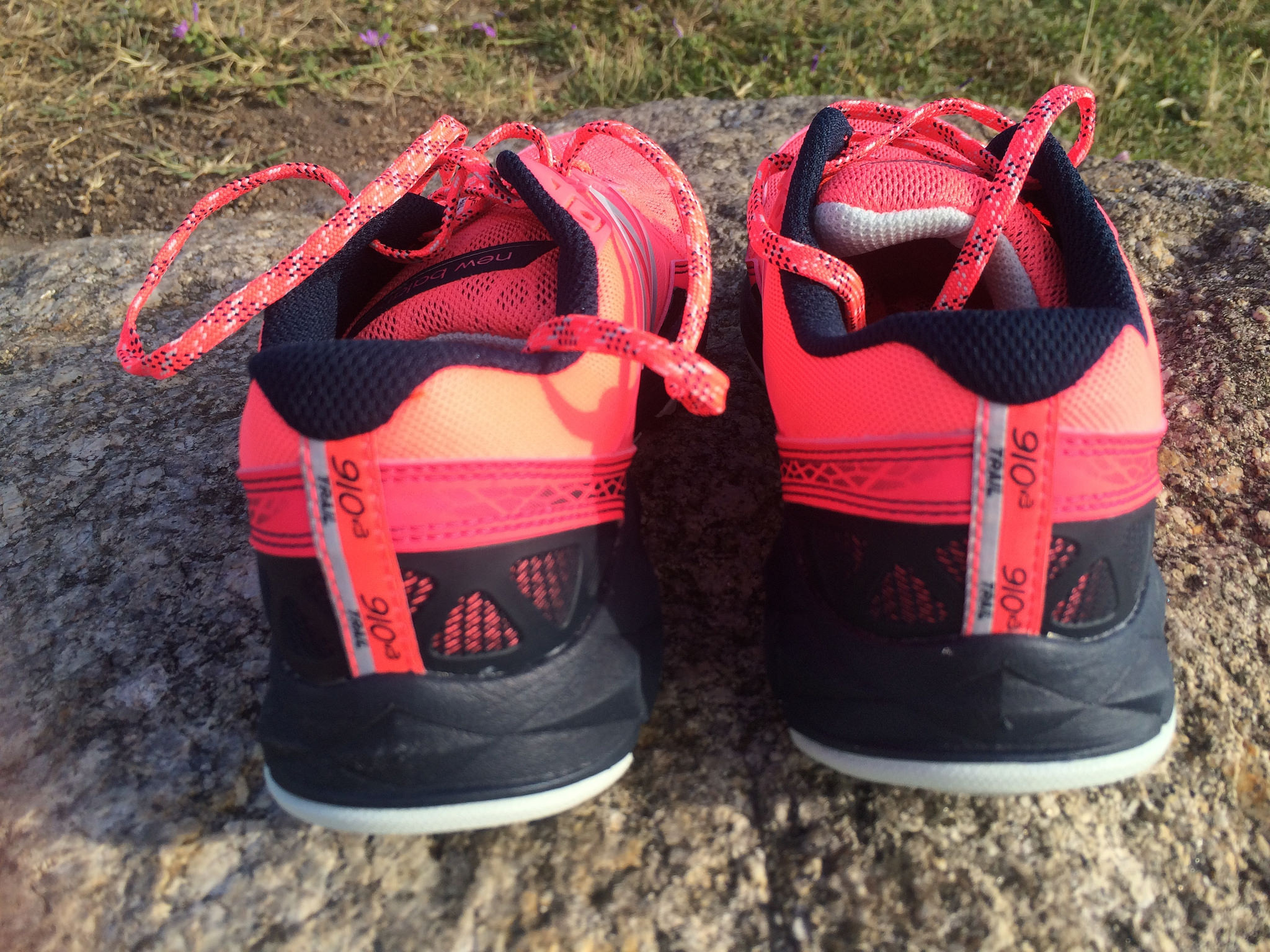 31643648041_e7ec9a8a2a_k