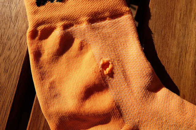 32096563741_2940349309_z