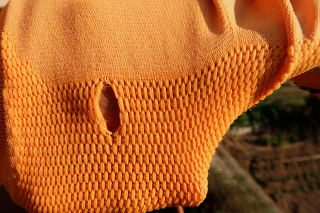 32177249646_c6d208cba7_z