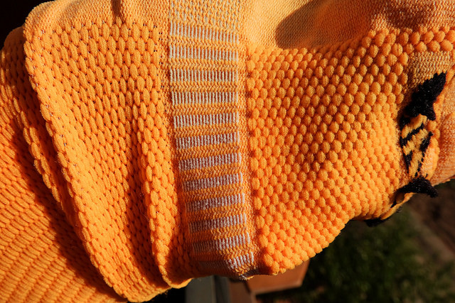 32177300696_3b3e5f1cc5_z