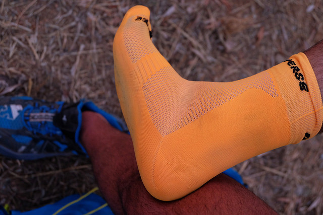 32177850926_850dac5597_z