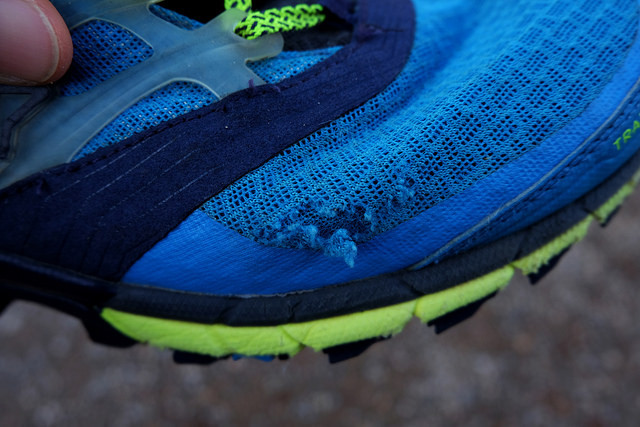 31693845613_8227fe2f75_z