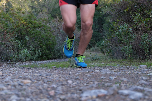 32352859292_c17927b874_z