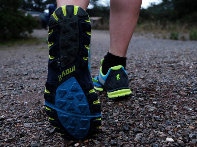 32353427752_2cb04cfd38_z