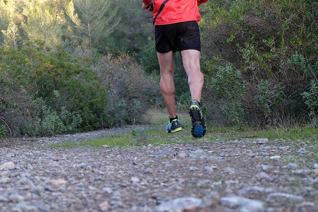 32383131231_8136a42488_z