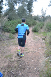 32374849991_020e25c585_k