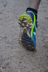 32455858286_83a0dc1008_k