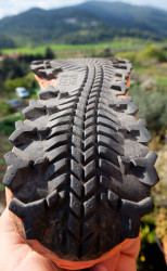 dscf8574_33667320111_o