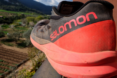 dscf8507_33640325812_o