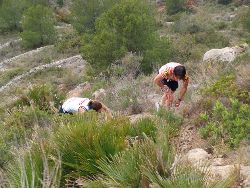 mabo nuria dominguez  ragna en accion f org 3