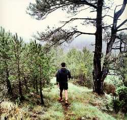 Parajes por los que transcurre la ruta. Foto: 7 Pobles