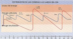 Distribución de las comidas a lo largo del día. Foto: Efweb