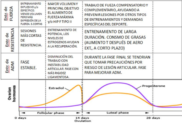 Propuesta de capacidades