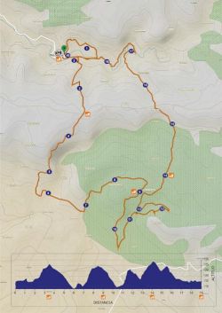 Recorrido y desnivel de la CxM de Palomera. Foto: Organización