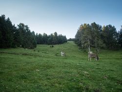 2014-09-07 Marato Berga-10