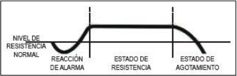 12.10.14 Ciclo de estrés