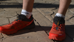 22.07.15 Salomon_socks_6