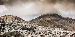 04.09.15 rut-scene-von-sehlen