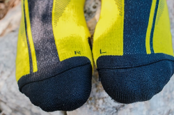 08.11.15 Xwin_Socks_8