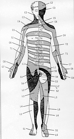 Problema_circulatorio_derma_f_Cesar_Canales