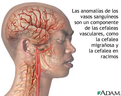 migraa_y_carrera_por_montaa_f_adam_2