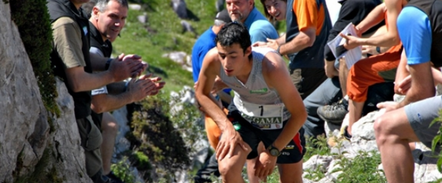 Banner Maratón de Zegama-Aizkorri (Foto: Organización)