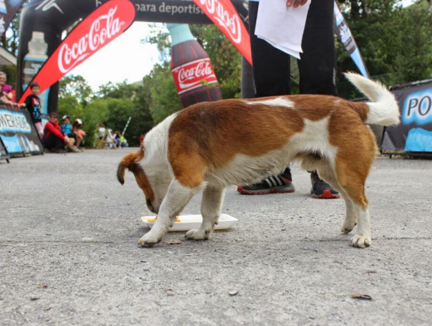 Un ANCARES 3 TRAILS muy perruno, por Tyson