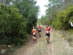 Imagen de la pasada edición del Marató de La Fageda. Foto: Javier Sánchez