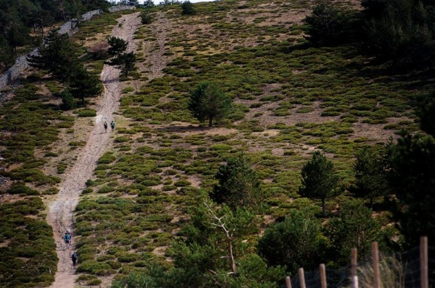 Cercedilla Trail Race. Foto: Organización