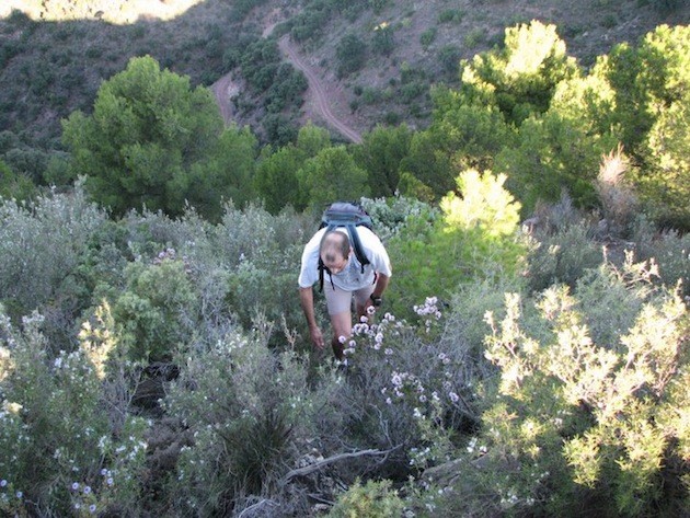 Ejemplo de sendero inaccesible cubierto por la maleza que, desde SumaMetros - SumaVidas, pretenden arreglar. Foto: SumaMetros - SumaVidas