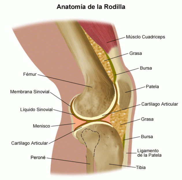 Condropatía rotuliana