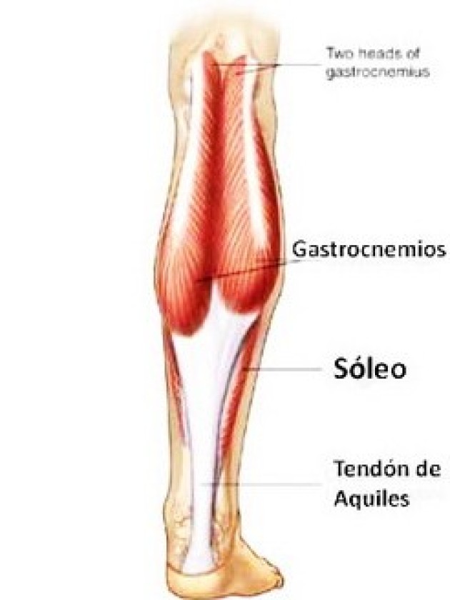 Sobrecarga en los sóleos